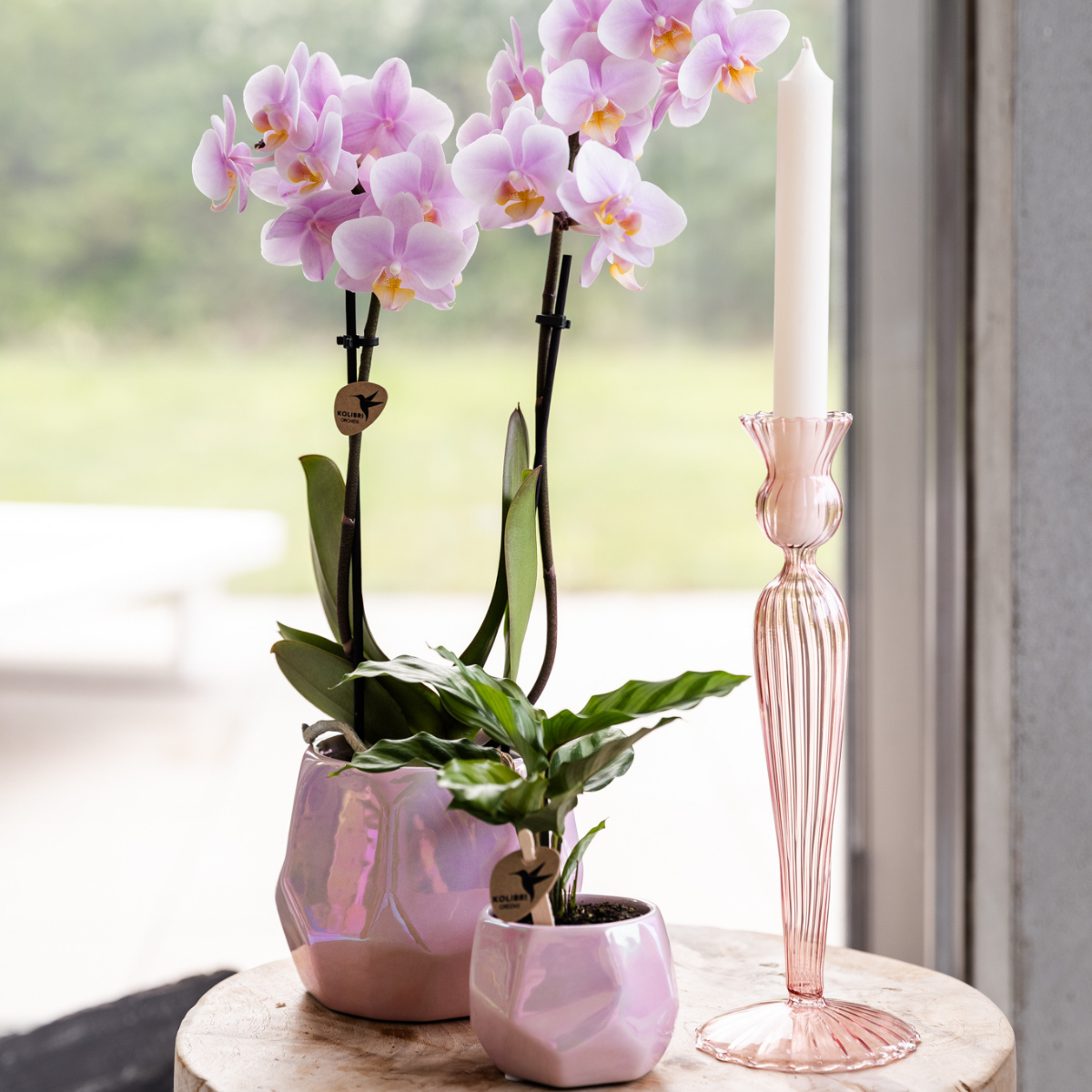 Kleine Roze Plantenpot van Keramiek Ø9cm