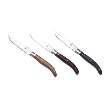 Laguiole steakmessen set 6 stuks rood zwart bruin