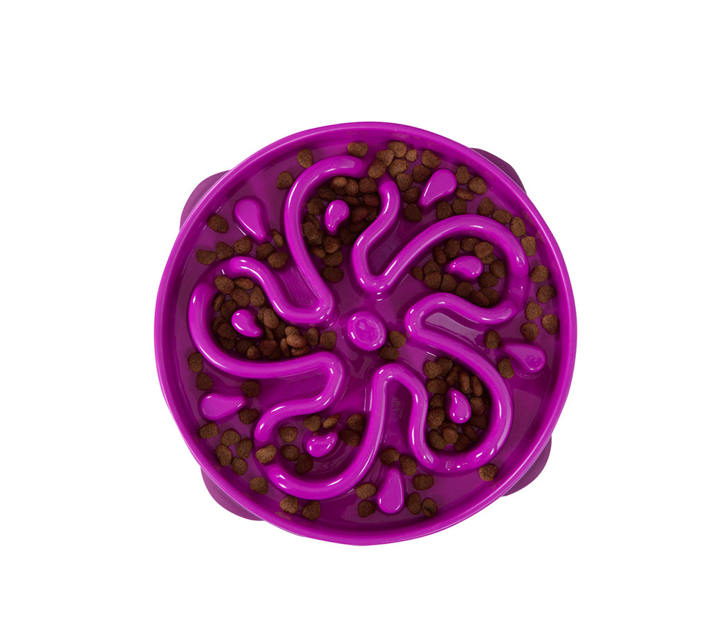 Fun Feeder Slo Bowl