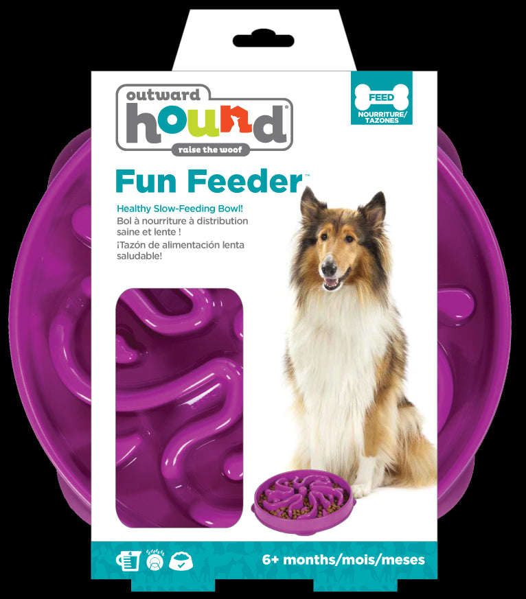 Fun Feeder Slo Bowl