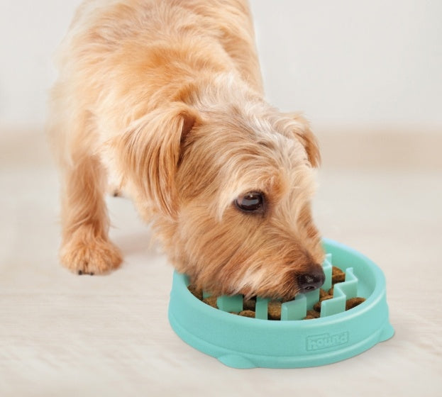Honden voerbak langzaam eten 175 ml mint