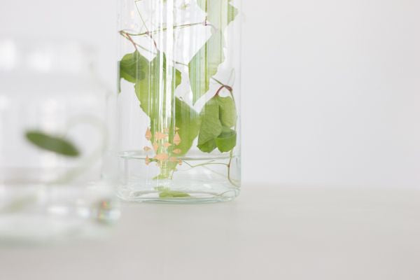 Waterglas handgemaakt 10x11 cm