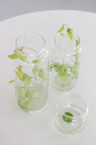 Waterglas handgemaakt 10x11 cm