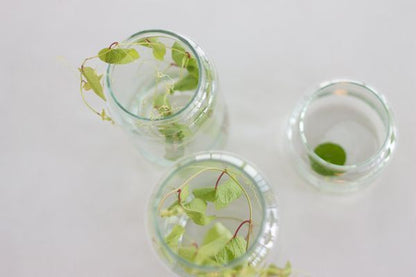 Waterglas handgemaakt 10x11 cm