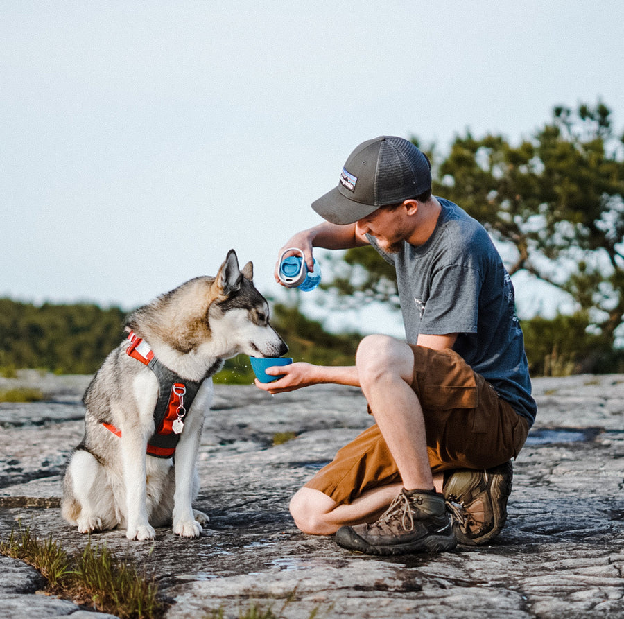 Honden waterfles met kom 710 ml BPA-vrij