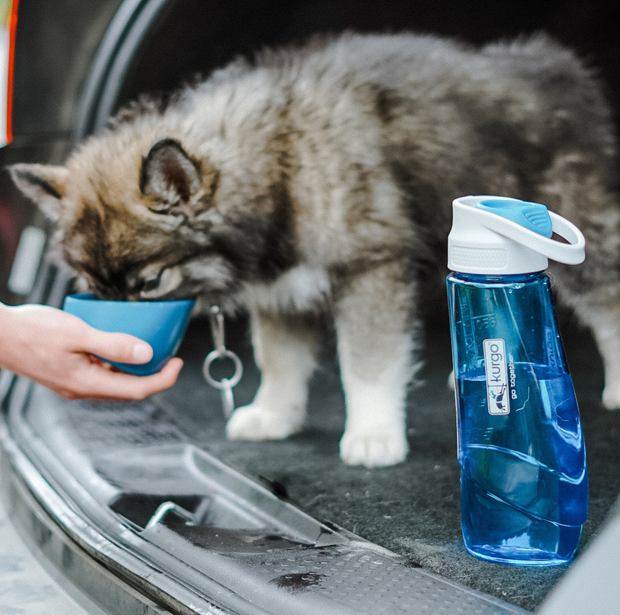 Honden waterfles met kom 710 ml BPA-vrij