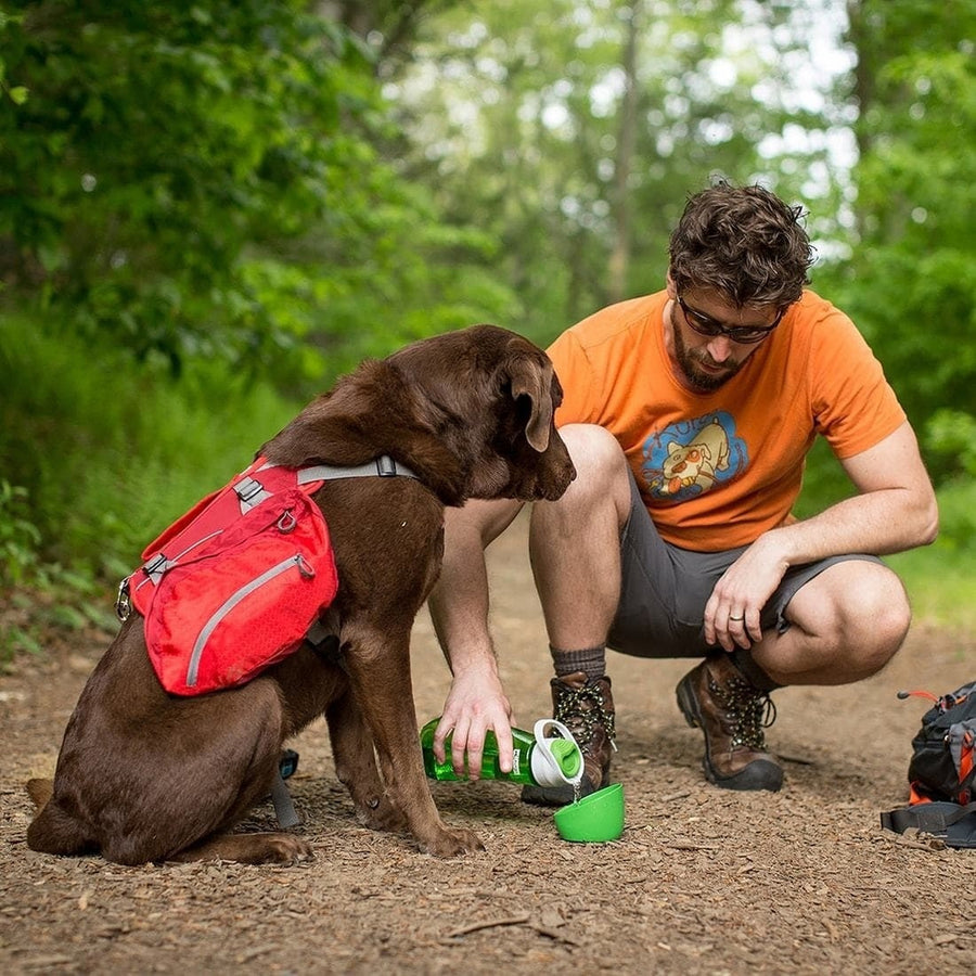 Honden waterfles met voerbak 710 ml BPA-vrij
