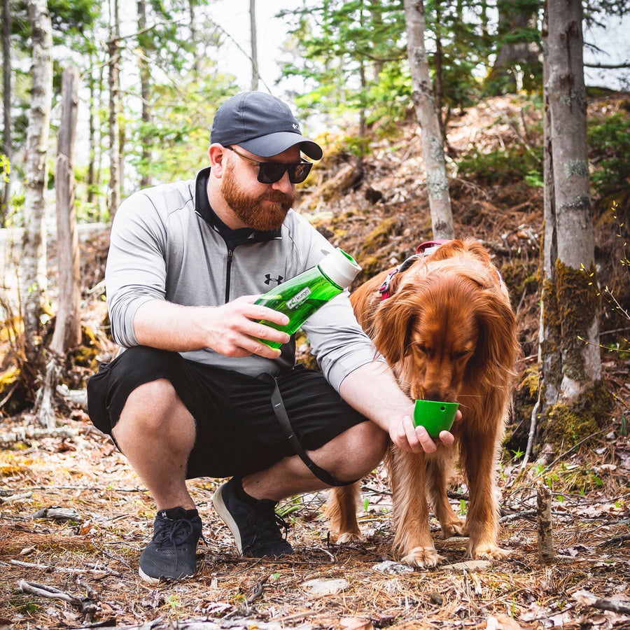 Honden waterfles met voerbak 710 ml BPA-vrij